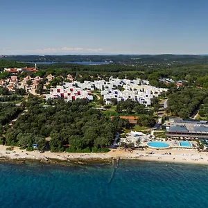 ellenőrizze a rendelkezésre állást